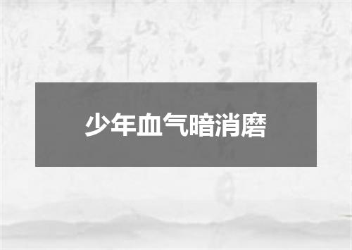 少年血气暗消磨
