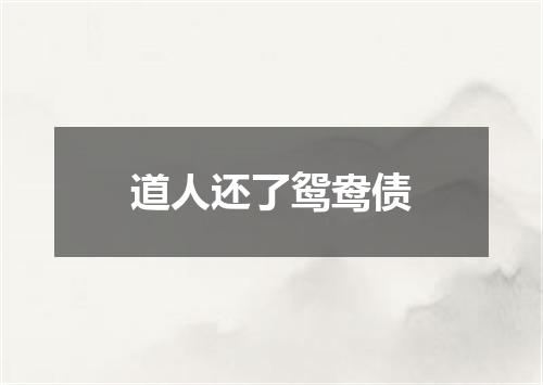 道人还了鸳鸯债