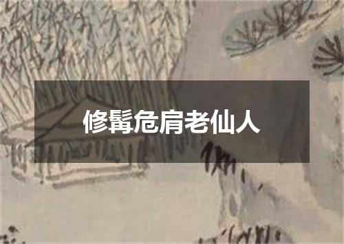 修髯危肩老仙人