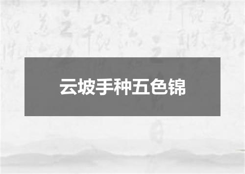 云坡手种五色锦