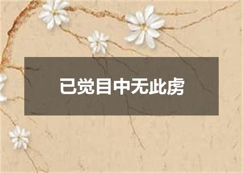 已觉目中无此虏