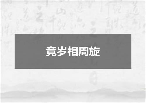 竟岁相周旋