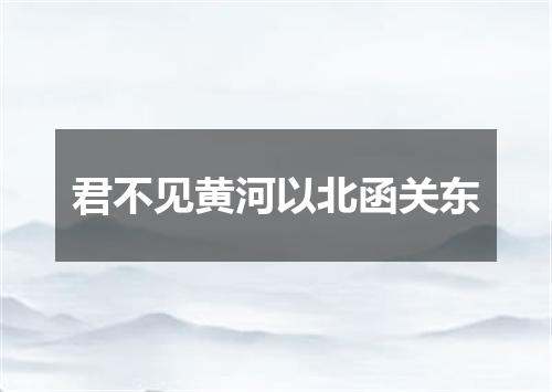 君不见黄河以北函关东