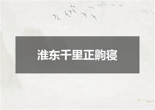 淮东千里正齁寝