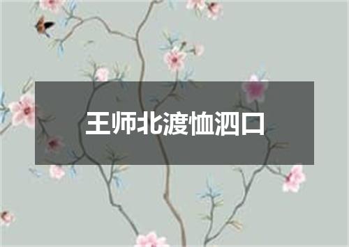 王师北渡恤泗口