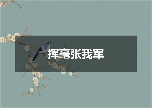 挥毫张我军