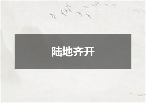 陆地齐开