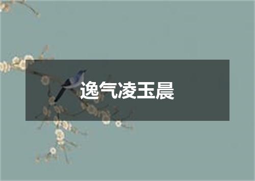逸气凌玉晨