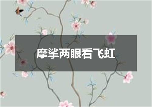 摩挲两眼看飞虹