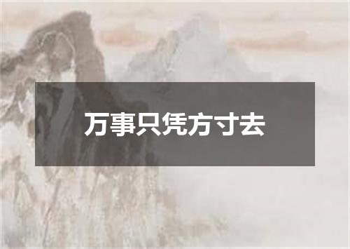 万事只凭方寸去