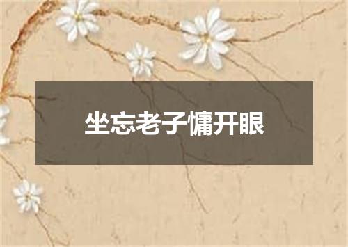坐忘老子慵开眼
