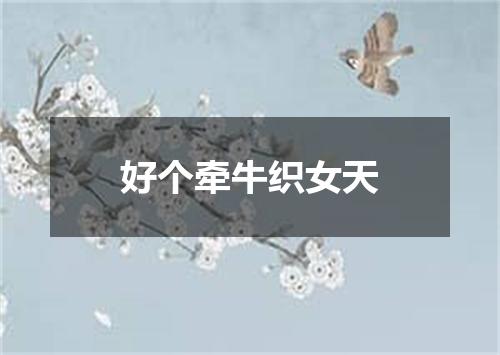 好个牵牛织女天