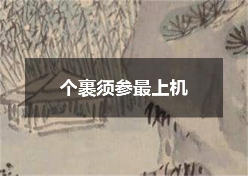 个裹须参最上机