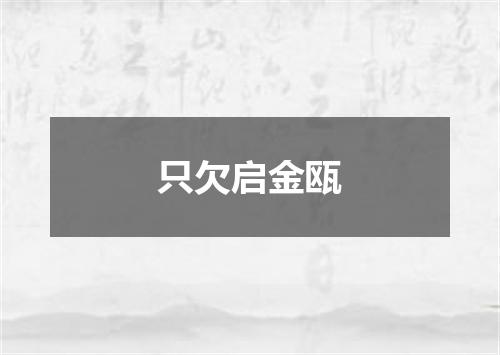 只欠启金瓯