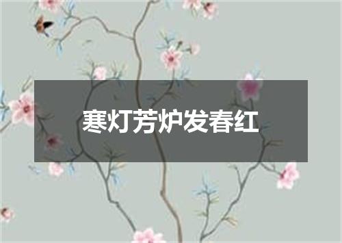 寒灯芳炉发春红