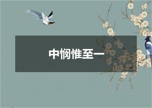 中悯惟至一
