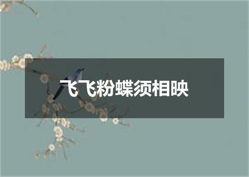 飞飞粉蝶须相映