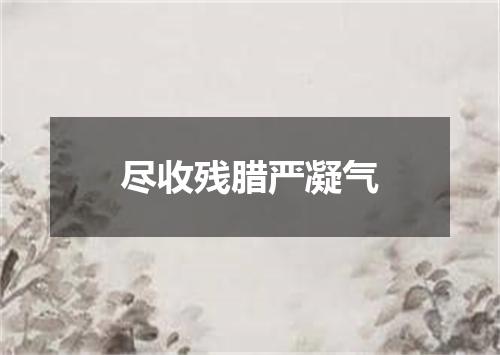 尽收残腊严凝气