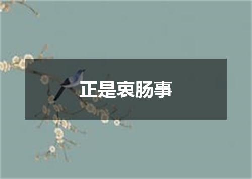 正是衷肠事