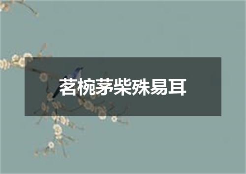 茗椀茅柴殊易耳
