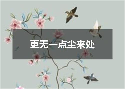 更无一点尘来处