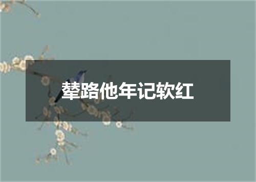 辇路他年记软红
