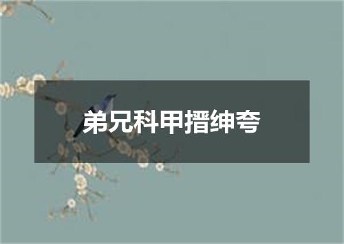 弟兄科甲搢绅夸