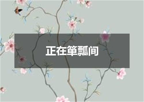 正在箪瓢间