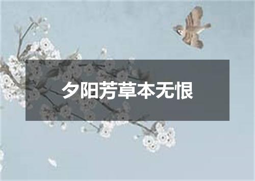 夕阳芳草本无恨