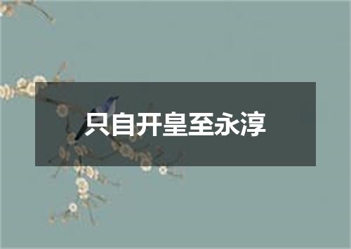 只自开皇至永淳