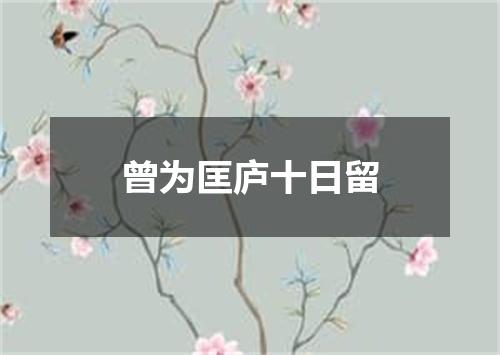 曾为匡庐十日留