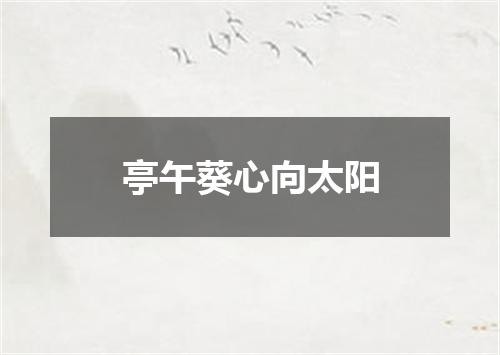 亭午葵心向太阳