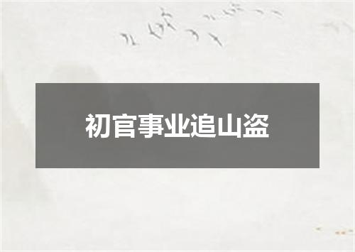 初官事业追山盗