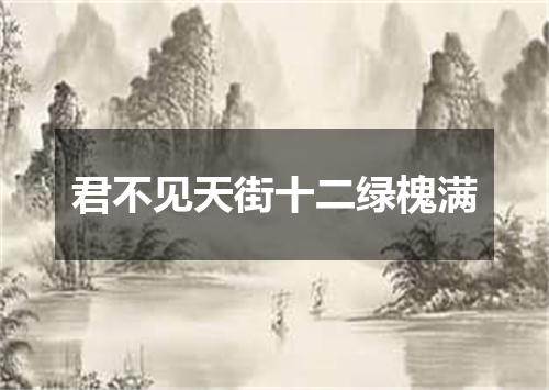 君不见天街十二绿槐满