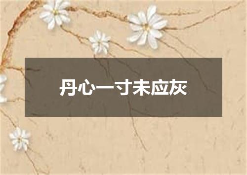 丹心一寸未应灰