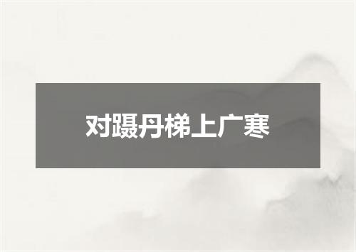 对蹑丹梯上广寒