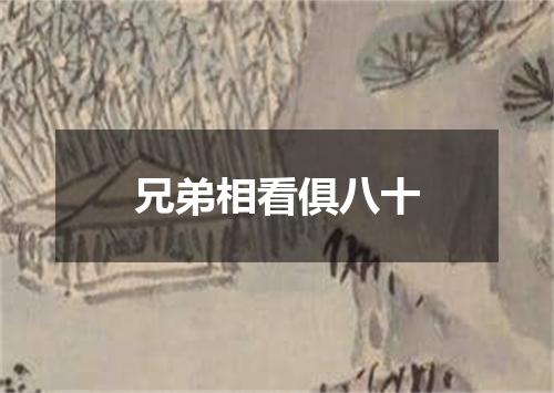 兄弟相看俱八十