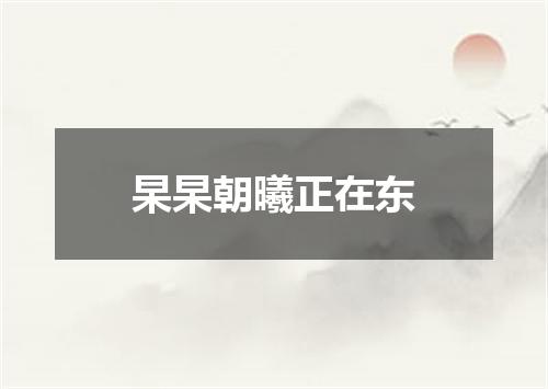 杲杲朝曦正在东