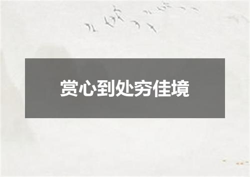 赏心到处穷佳境