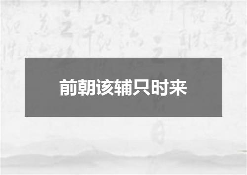 前朝该辅只时来