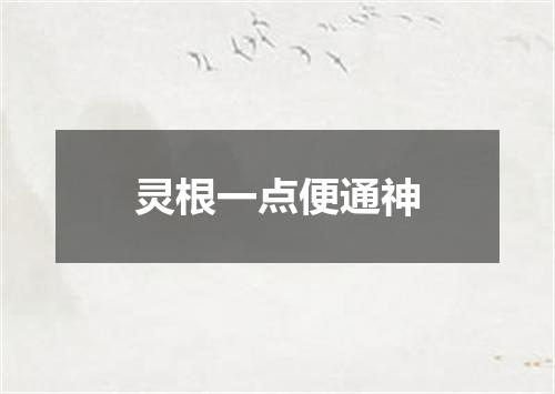 灵根一点便通神