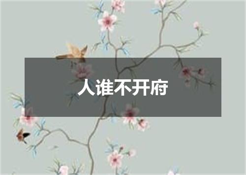 人谁不开府