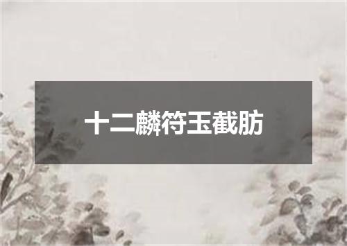 十二麟符玉截肪