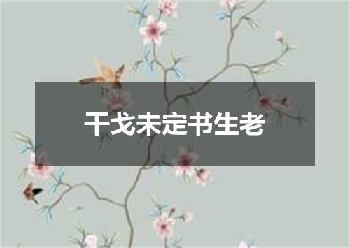 干戈未定书生老