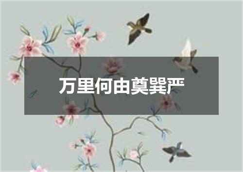 万里何由奠巽严