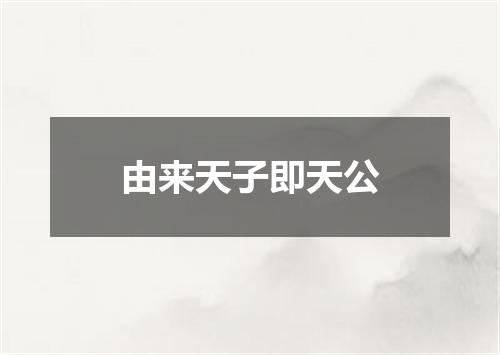 由来天子即天公
