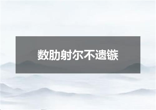 数肋射尔不遗镞