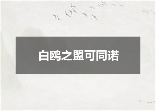 白鸥之盟可同诺