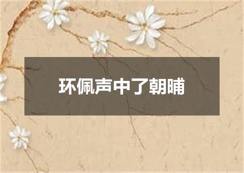 环佩声中了朝晡