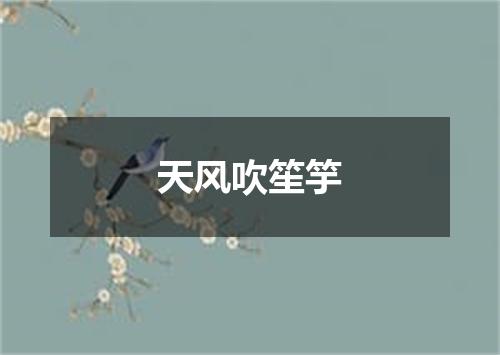 天风吹笙竽